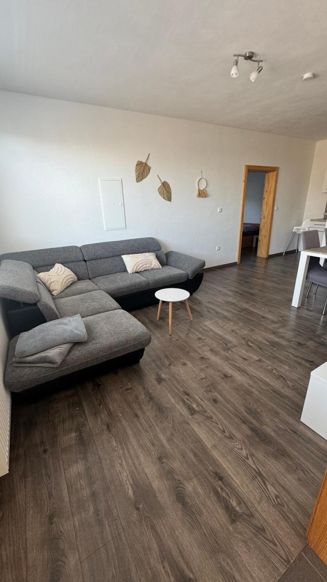 Apartman Lilly Borovany  المظهر الخارجي الصورة